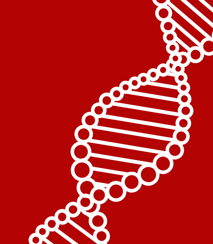 ?????????????? ?? ?????????? Natalya Azaryan